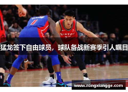 猛龙签下自由球员，球队备战新赛季引人瞩目