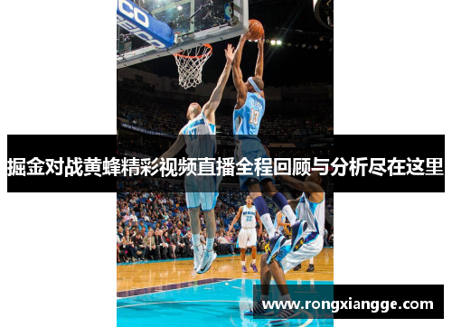掘金对战黄蜂精彩视频直播全程回顾与分析尽在这里