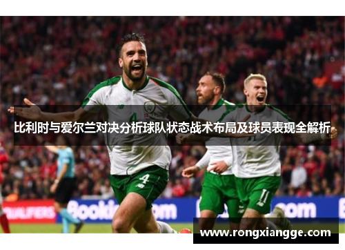 比利时与爱尔兰对决分析球队状态战术布局及球员表现全解析